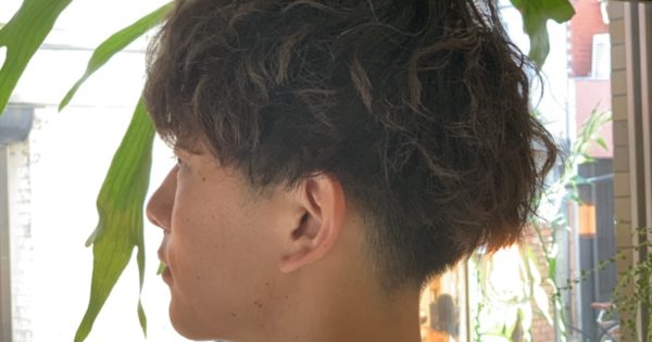メンズカットでパーマありきなのか?カットのみでいけるのか?そこんとこ美容室行ってから困る。